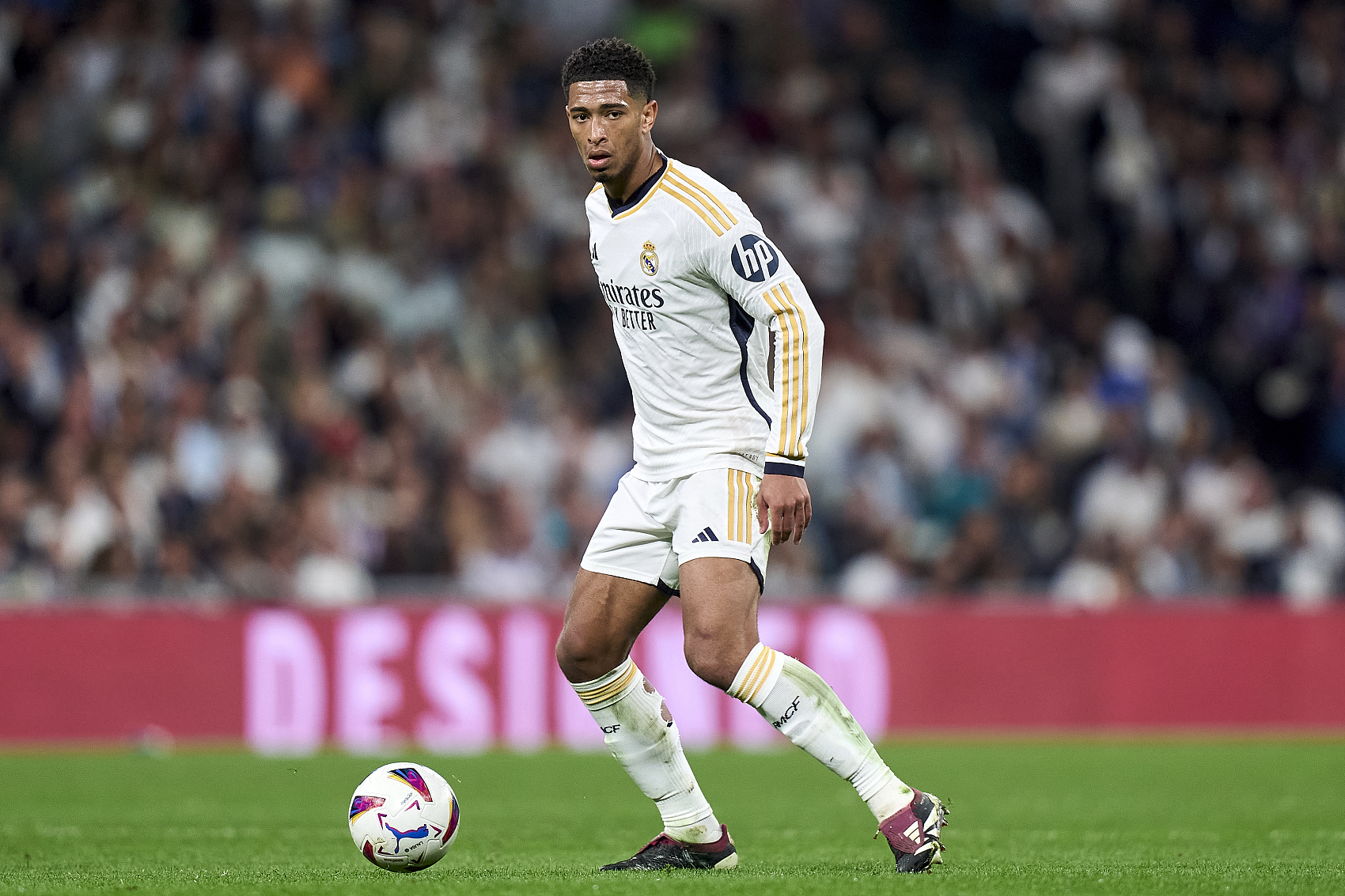 新找到一个 新找到一个